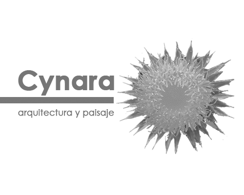 Logo Cynara